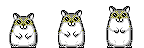 cat-and-dog2.jpg