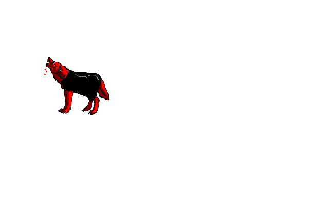 cat-and-dog2.jpg