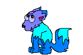cat-and-dog2.jpg