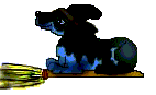 wolfwitch2.gif