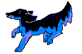 cat-and-dog2.jpg